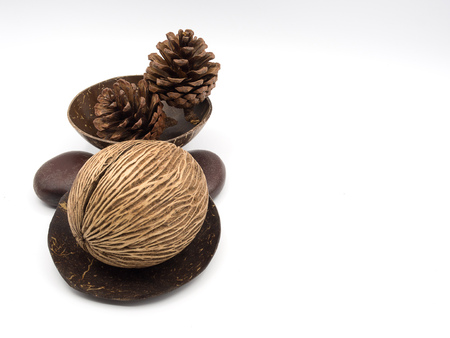 Side view of a dried othalanga and some dried pine cones place on a dried coconut shell with the white backgroundの写真素材