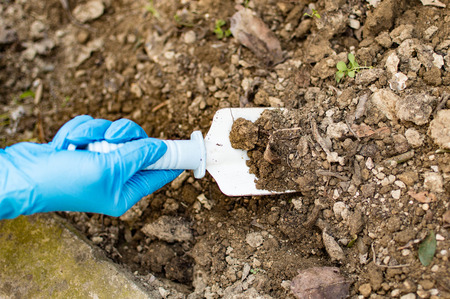 gardening work