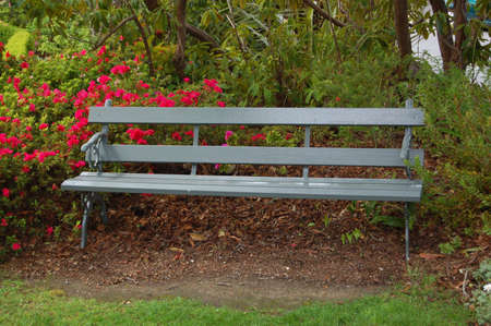 A bench in a parkの写真素材