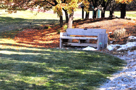 Park in Salt Lake Cityの写真素材