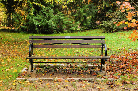 A place to sit in the parkの写真素材