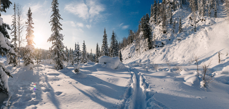 Winter hike in the reserveの写真素材