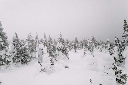 Climbing the mountain Zigalga. Ural Russia.の写真素材
