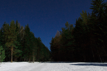 Night in the park Taganayの写真素材