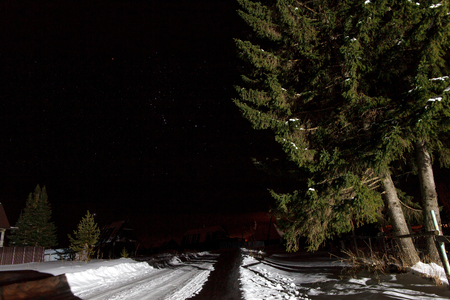 Walk through the night in the villageの写真素材