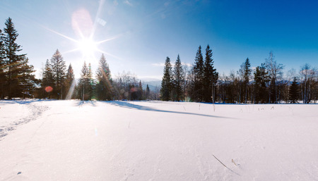 January sun on the mountain Zyuratkulの写真素材