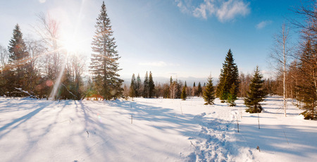 January sun on the mountain Zyuratkulの写真素材