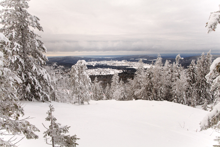 Cloudy sky over the mountain forest. Sverdlovsk region. Russia.の写真素材