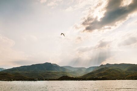 Bird over the evening sea in Nha Trangの写真素材