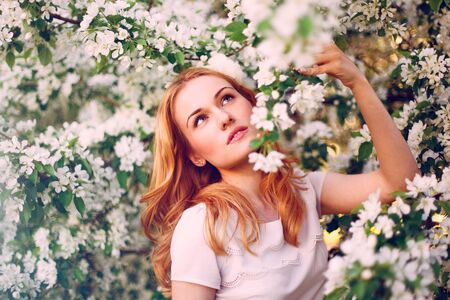 Model with red hair posing in a blooming apple tree.の写真素材