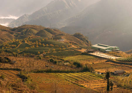 View of green terraces with beds and vegetable gardens. Farmland. Farm. Sapa, Lao Cai Province,...