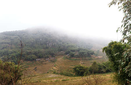 Lao Cai Province, North Vietnam, morning fog, cloudy sky and fieldsの写真素材