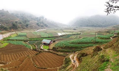 The mountain is covered with fog, and in front of the mountain there were green fields with crops and farms. Sapaの写真素材