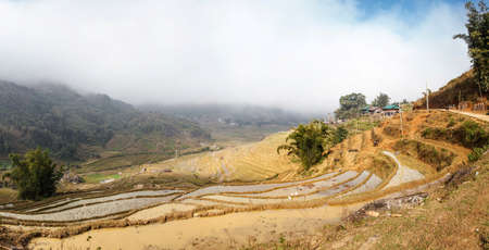 Rice fields in the autumn season in the Sapa district of Lao Cai province in northern Vietnam, near the Chinese borderの写真素材