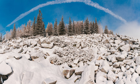 Winter pin tree forest with big stones covered snow in winter. Beautiful mountain landscape.の写真素材