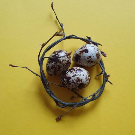 Quail eggs. Easter. Yellow background. Top view, copy spaceの写真素材