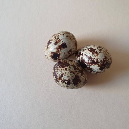 Quail eggs. Easter. Light pastel background. Top view, copy spaceの写真素材