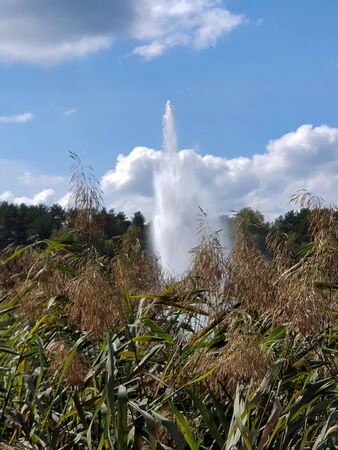 A wonderful fountain in Lake Druskonis. Europe, Lithuania, Druskininkaiの写真素材