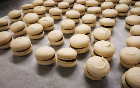 Macarons in a tray, french dessert macarons. Rustic backgroundの写真素材