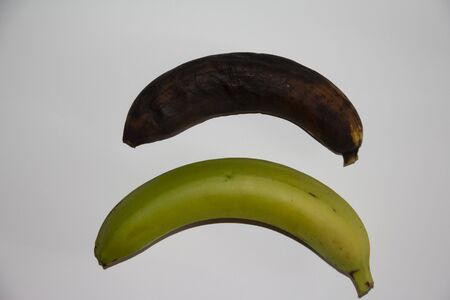 Two bananas comparison: one overripe, black, brown and aesthetically pleasing and the other fit to eat and cook.の写真素材