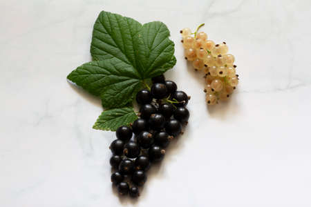 Black and white currant berries with green currant leaves isolated on white background, healthy foodの写真素材