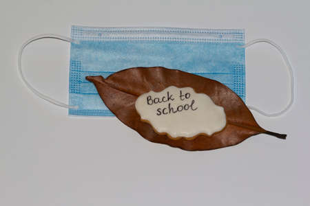 Medical mask, autumn leaf and cookie with the inscription back to school isolated on a white background, educatio conceptの写真素材