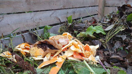 Compost boxe made from planks in the garden, Save the planet conceptの写真素材