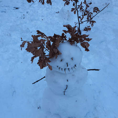 snowmen, winter background, winter outdoor entertainment , copy space Europe, Lithuania Januaryの写真素材