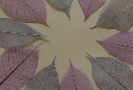 Pastel colors leaves rustic backgrounds , copy space, greeting card, postcard, copy space,...