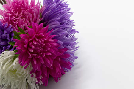 Multicolored autumn flowers asters on a white background. Birthday, Mothers Day card, invitation. Copy space, pattern, wallpaperの写真素材