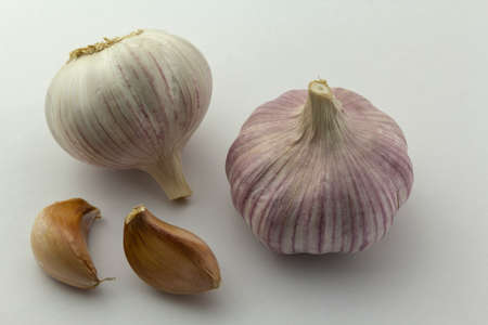 two garlic bulb, head and gloves on white background, healthy eating, copy space, horizontalの写真素材
