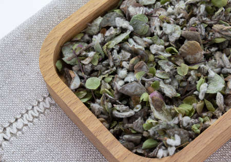 Origanum dictamnus, dittany of Crete tea wooden plate linen napkin background. Cretan dittany or hop marjoram is a medicinal tea growing wild only in Crete. It is a healing, therapeutic and aromatic plant, healthy foodの写真素材