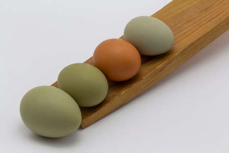 green, brown chicken eggs in line on a wooden egg rolling tray white background. Easter holiday eggs natural colour background, copy space, greeting card, postcard, banner, cover, mockup, for designの写真素材