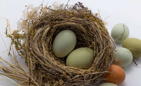 green, brown chicken eggs in a straw nest on white background. Easter holiday eggs natural colour background, copy space, greeting card, postcard, banner, cover, mockup, for your designの写真素材