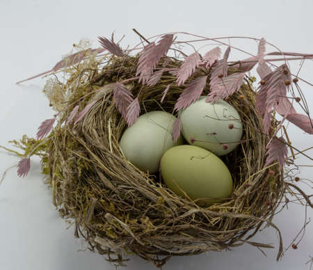 green chicken eggs in a straw nest on white background. Easter holiday eggs natural colour background, copy space, greeting card, postcard, banner, cover, mockup, for your designの写真素材