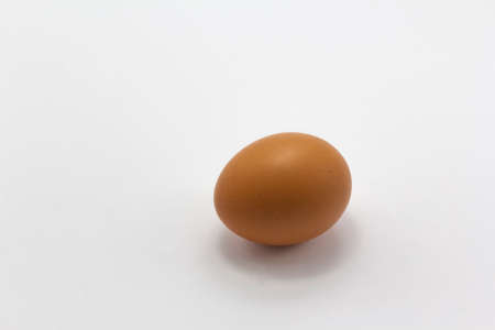 single brown egg on white background, free range egg copy space horizontal