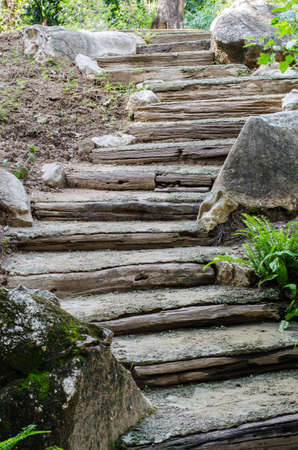 Old Wooden Stairs in the gardenの写真素材