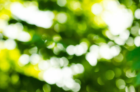 Natural Bokeh,blurred bokeh.の写真素材