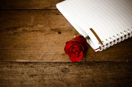 red rose on notebookの写真素材