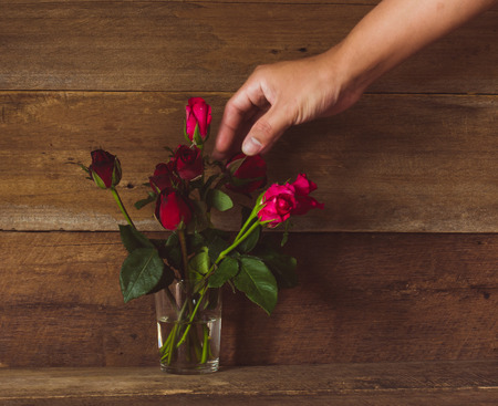 Holding a rose on wooden backgroundの写真素材