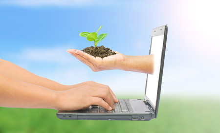 hand with a tree and laptop concept online on nature backgroundの写真素材