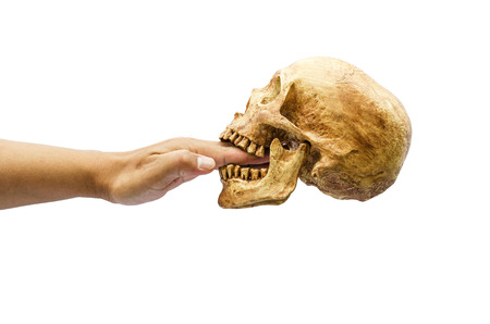 Human skull in the hand on isolated white backgroundの写真素材