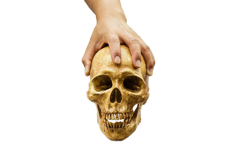 Human skull in the hand on isolated white backgroundの写真素材