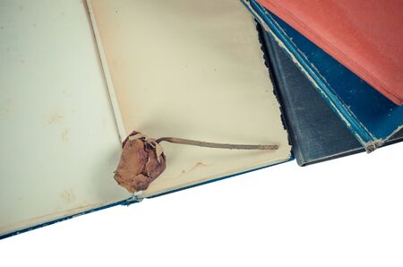 Old book and dry roseの写真素材