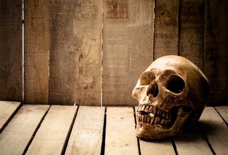 Still life the human skull on a wooden backgroundの写真素材