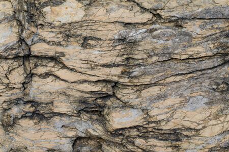 Stone walkway in the parkの写真素材