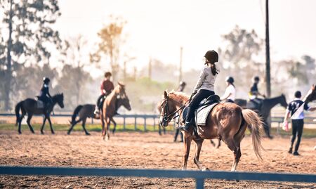  young girl is training to ride a horse horse is in the practice fieldの写真素材