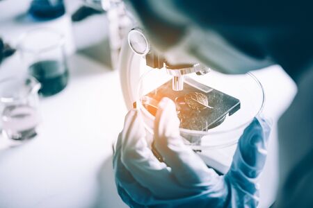 Experimental methods of plant breeding a test tube in an experiment research in laboratory.の写真素材