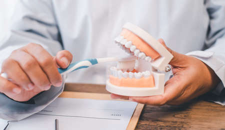 Dentists are demonstrating with dentures to educate them. About orthodontics And brushing teethの写真素材