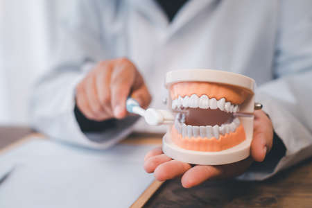 Dentists are demonstrating with dentures to educate them. About orthodontics And brushing teethの写真素材